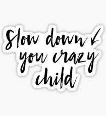 Slow down you crazy child Sticker