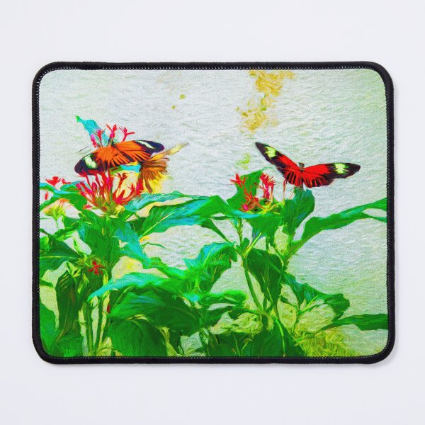 Item preview, Mexican Longwing Butterfly Artfully Presented designed and sold by Kay Brewer.