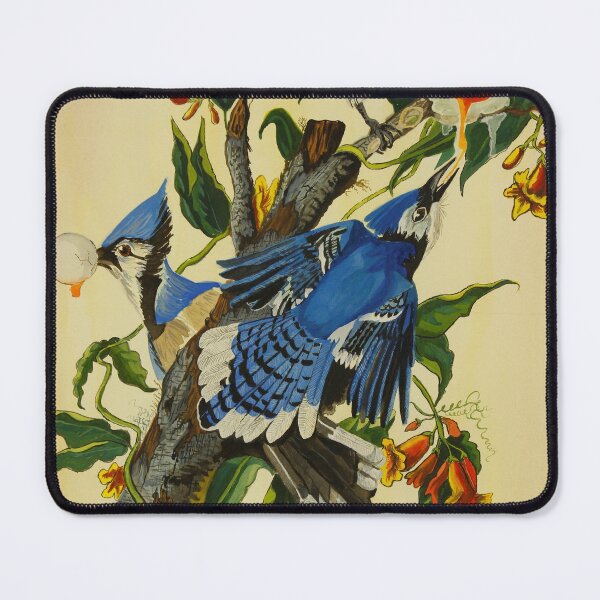 Artikelvorschau, Bluejay-Frühstück entworfen und verkauft von ninakjerart.