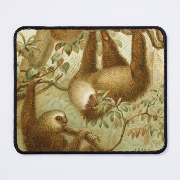 Item preview, Two-Toed Sloths designed and sold by Twisted Wick.