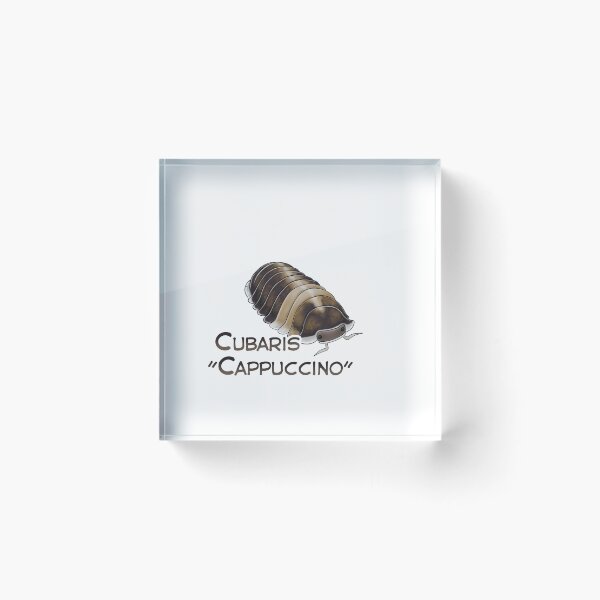 Item preview, Cubaris "Cappuchino" name tag designed and sold by Pods-n-Pugs.