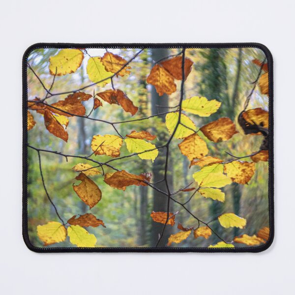 Item preview, Autumn Colours designed and sold by Jeff  Wilson.