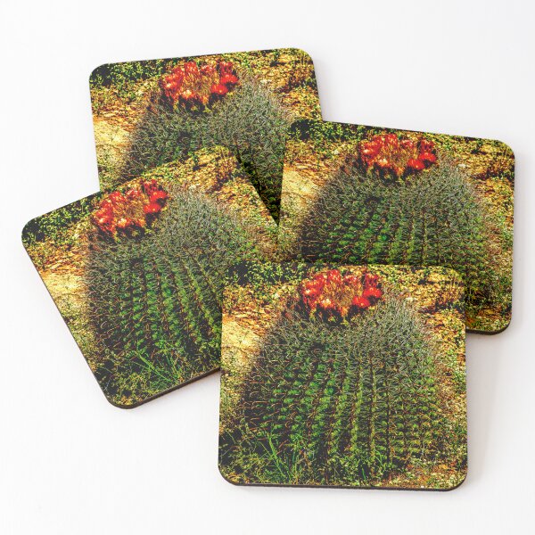 Item preview, Barrel Cactus in Bloom designed and sold by William E Lopez.