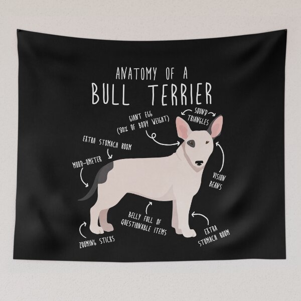 Item preview, Bull Terrier Dog Anatomy designed and sold by Clara Hollins.