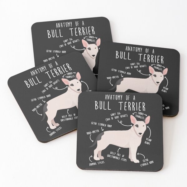 Item preview, Bull Terrier Dog Anatomy designed and sold by Clara Hollins.