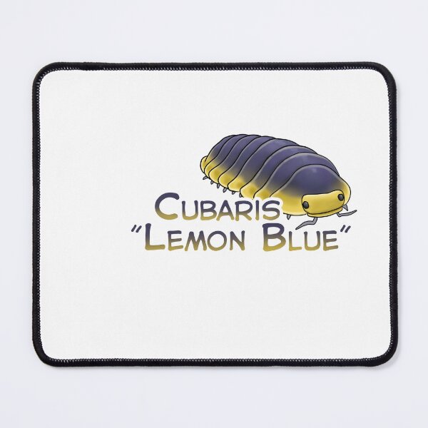 Item preview, Cubaris "Lemon Blue" name tag designed and sold by Pods-n-Pugs.