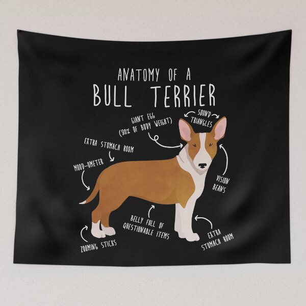 Item preview, Bull Terrier Dog Anatomy designed and sold by Clara Hollins.