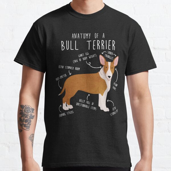 Bull terrier clearance items