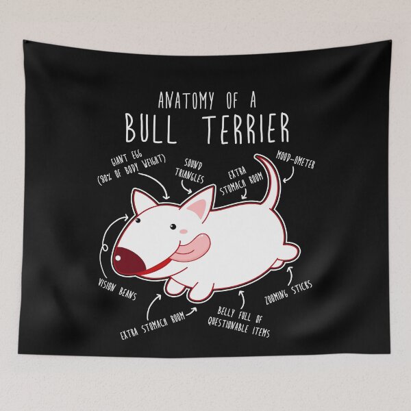 Item preview, Bull Terrier Dog Anatomy designed and sold by Clara Hollins.