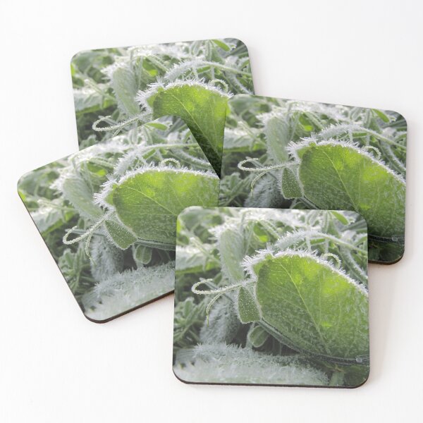 Item preview, Stay Frosty designed and sold by BuyByButterfly.