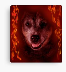 Angeleyes Canvas Print
