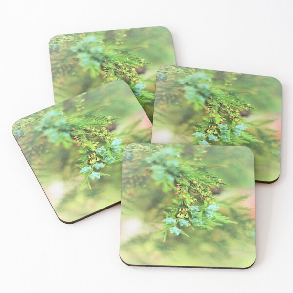 Item preview, Fresh Greenery and Plant Life- Pine tree, plants, bokeh background  designed and sold by BirdsnStuff.