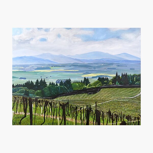 Item preview, Oregon Vineyard designed and sold by Scott Clendaniel.