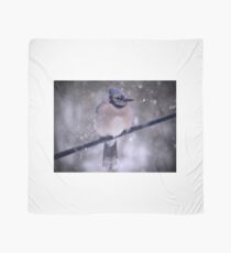 Bluejay In A Snowstorm Scarf