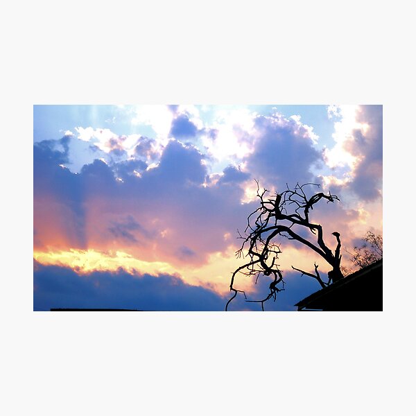 Item preview, THE LONELY SILHOUETTE designed and sold by Magriet Meintjes.