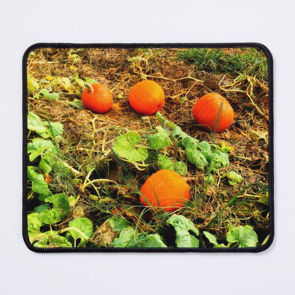 Item preview, Pumpkins patch by Iritof designed and sold by iritof.