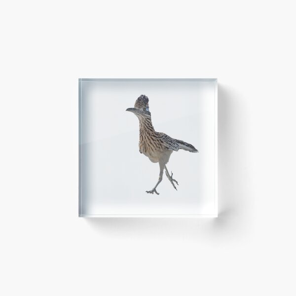 Item preview, Roadrunner approaching designed and sold by WendyEMiller.