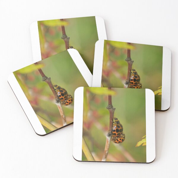 Item preview, Ladybugs  designed and sold by D-GaP.