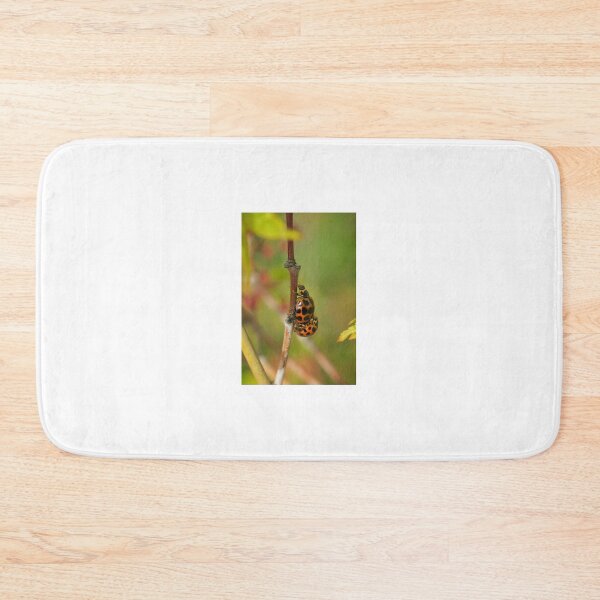 Item preview, Ladybugs  designed and sold by D-GaP.