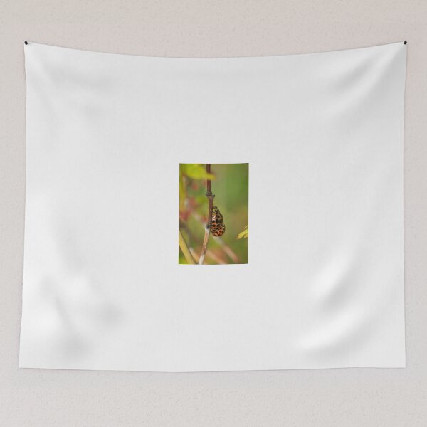Item preview, Ladybugs  designed and sold by D-GaP.