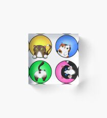Purrfect kittens Acrylic Block