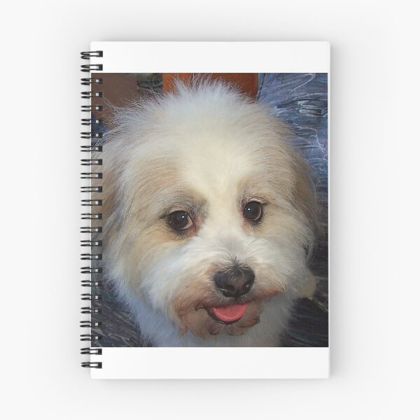 Item preview, MEET OUR CUJO designed and sold by Larry Trupp.