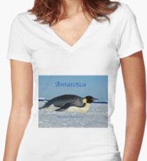 Antarctica Women's Fitted V-Neck T-Shirt