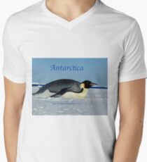 Antarctica Men's V-Neck T-Shirt