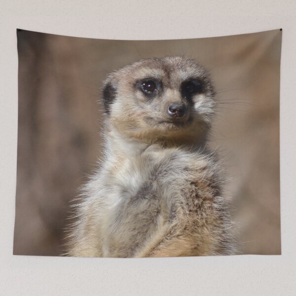 Item preview, Meerkat Portrait designed and sold by lizdomett.