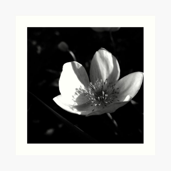 At the River's Edge Art Print