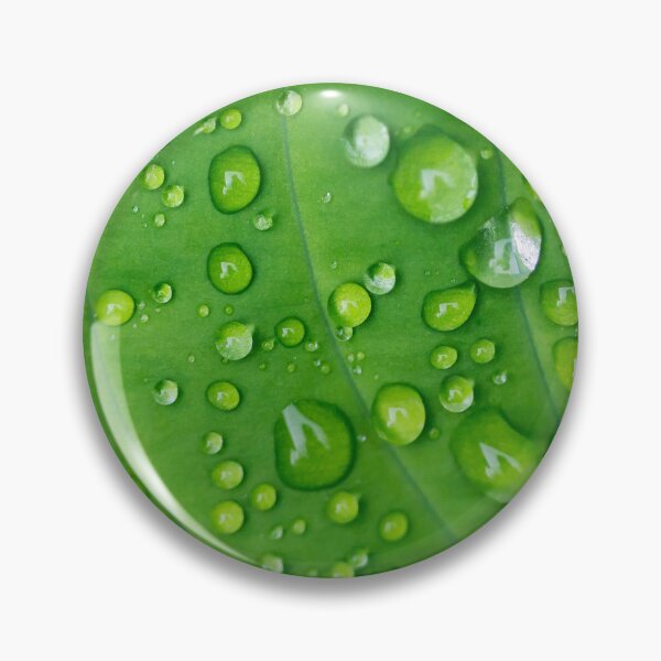Item preview, Raindrops on Hosta - Fresh and Vibrant designed and sold by Paula Bund.