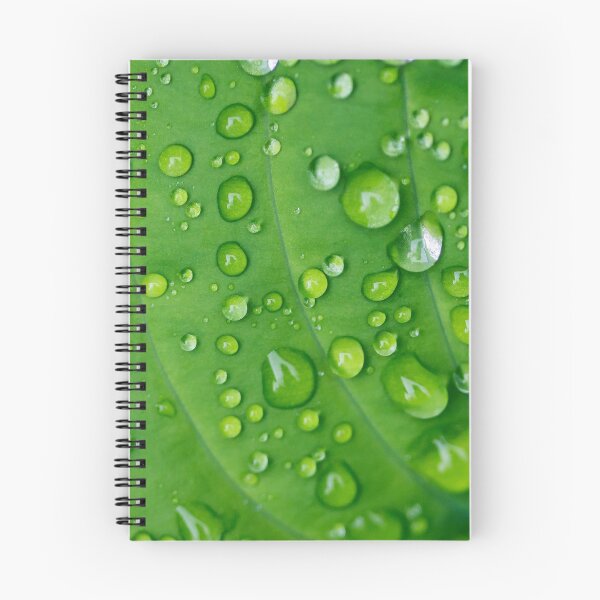 Item preview, Raindrops on Hosta - Fresh and Vibrant designed and sold by Paula Bund.