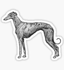 Greyhound Sticker