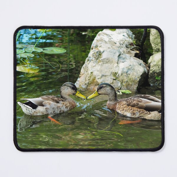 Item preview, Two Mallard Ducks Looking At Eachother designed and sold by BackyardBirder.