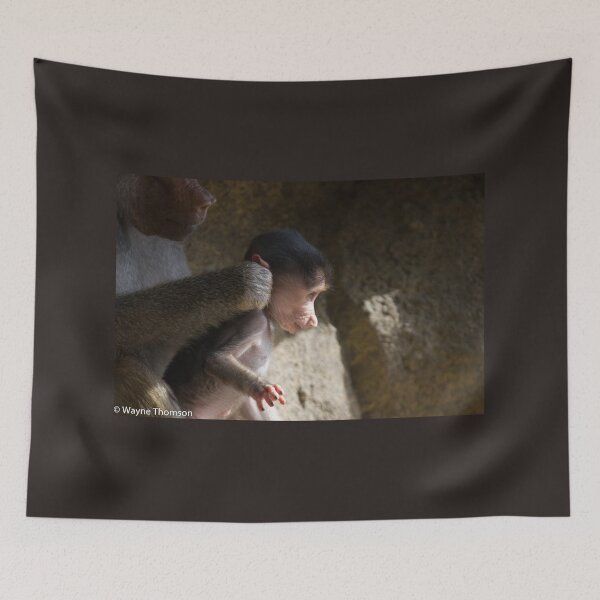 Item preview, Got You By The Ear designed and sold by Wayne Thomson.