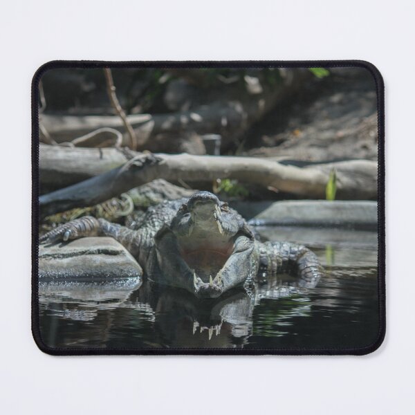 Item preview, Feed Me designed and sold by Wayne Thomson.