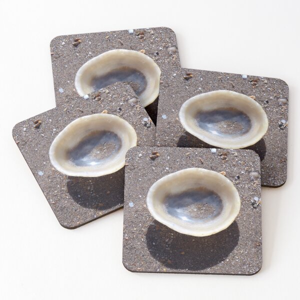 Item preview, shell designed and sold by KathleenDawson.