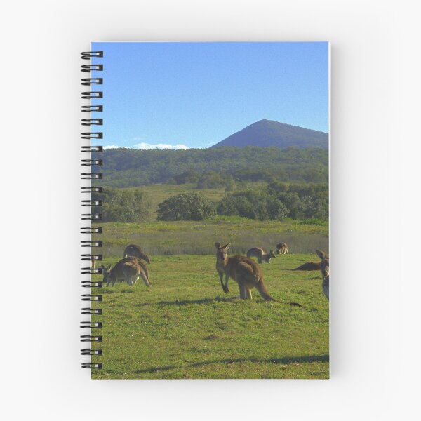 Item preview, Clarence Peak and a few of the locals designed and sold by myraj.