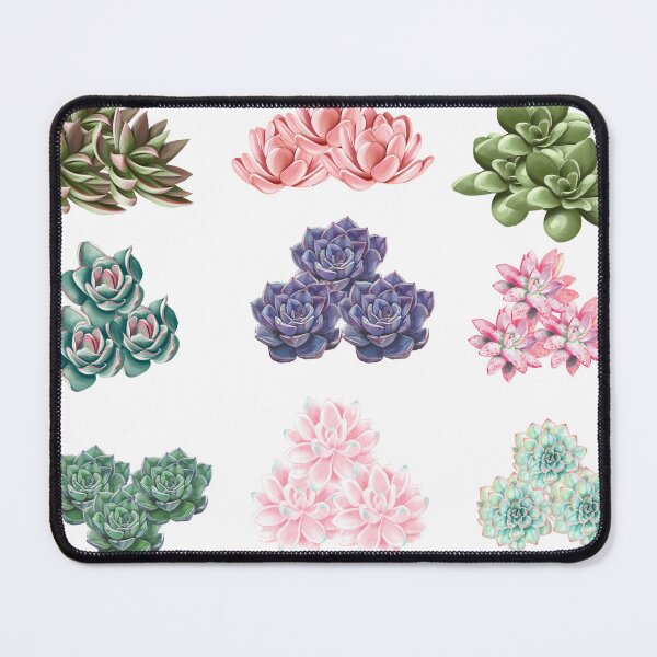 Item preview, plant succyoulent cactus 2 designed and sold by Darlene Douglas-Jackson.