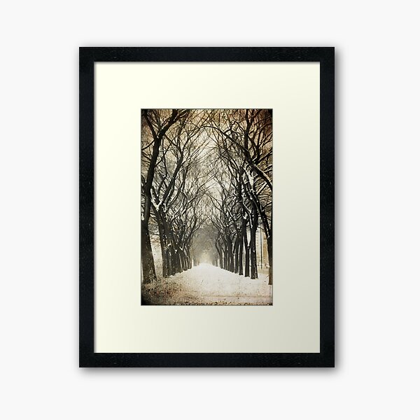 Trees Framed Art Print