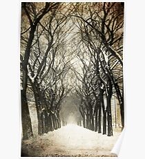 Trees Poster