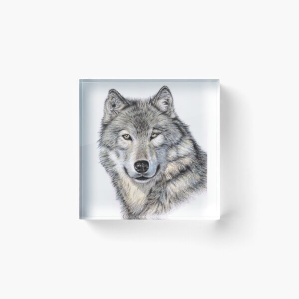 Artikelvorschau, The Siberian Wolf - Der Sibirische Wolf entworfen und verkauft von Arts & Dogs.