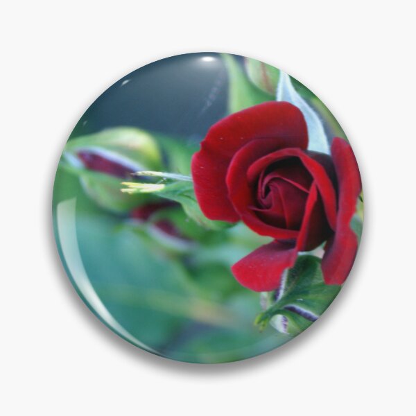 Item preview, Minature "RED" in bloom; Granada Hills, CA USA designed and sold by leih2008.