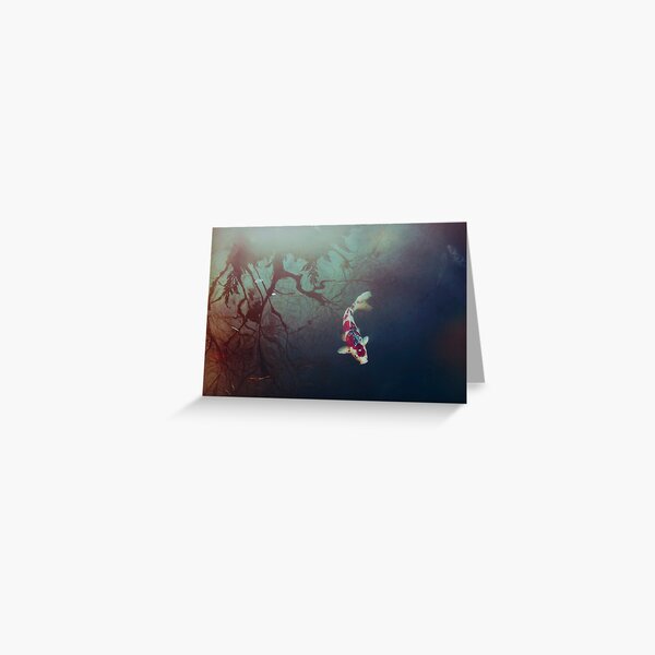 Pond of Reflection Greeting Card