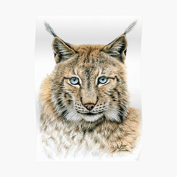The Lynx - Der Luchs Poster