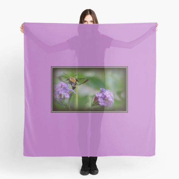Snowberry Clearwing Hummingbird Moth on a Butterfly Bush Scarf