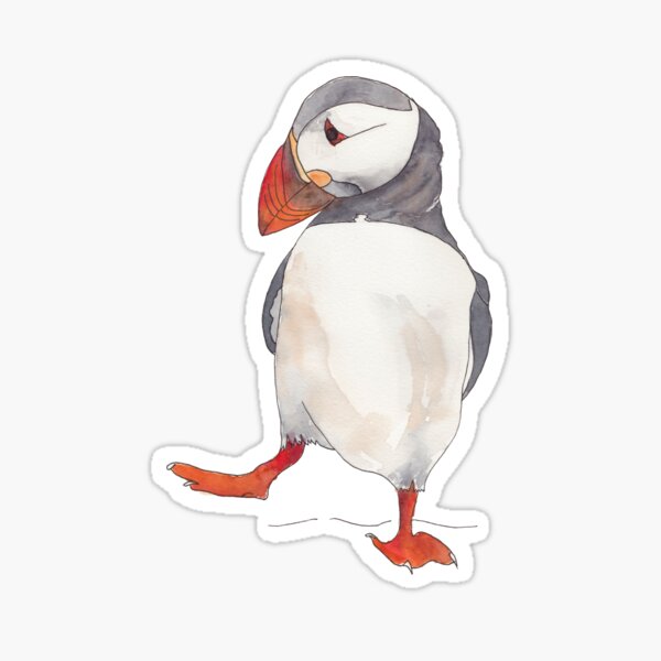 3 Dancing puffins watercolor illustration Sticker