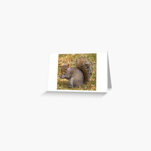 Happy Greeting Card