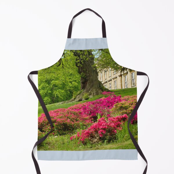 Item preview, Cannon Hall Barnsley designed and sold by Alisonchambers2.