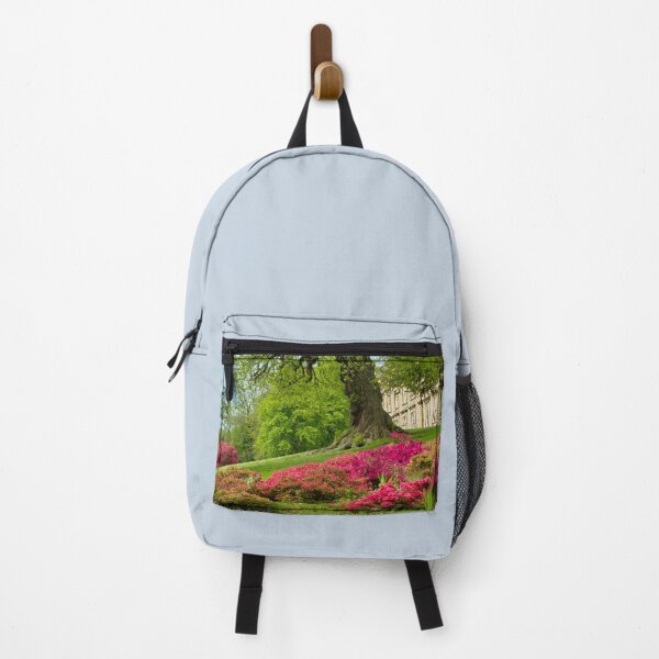Item preview, Cannon Hall Barnsley designed and sold by Alisonchambers2.